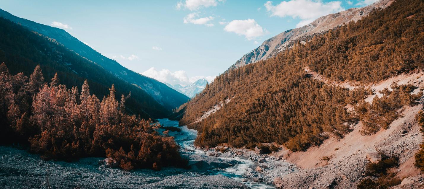 Nationalpark Schweiz